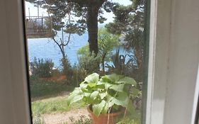 Apartman Tafra